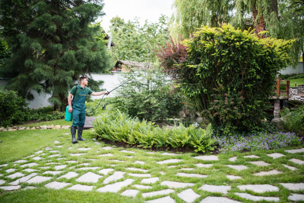 Best Mosquito Control Services  in Cressona, PA
