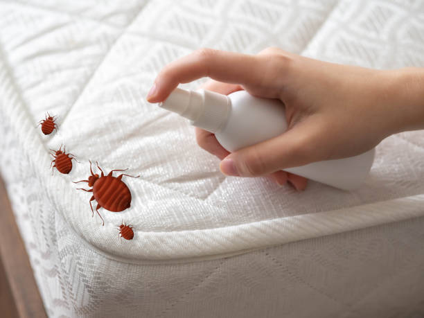 Pest Prevention Services in Cressona, PA