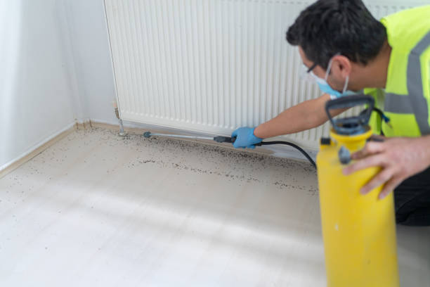 Best Ant Control Services  in Cressona, PA